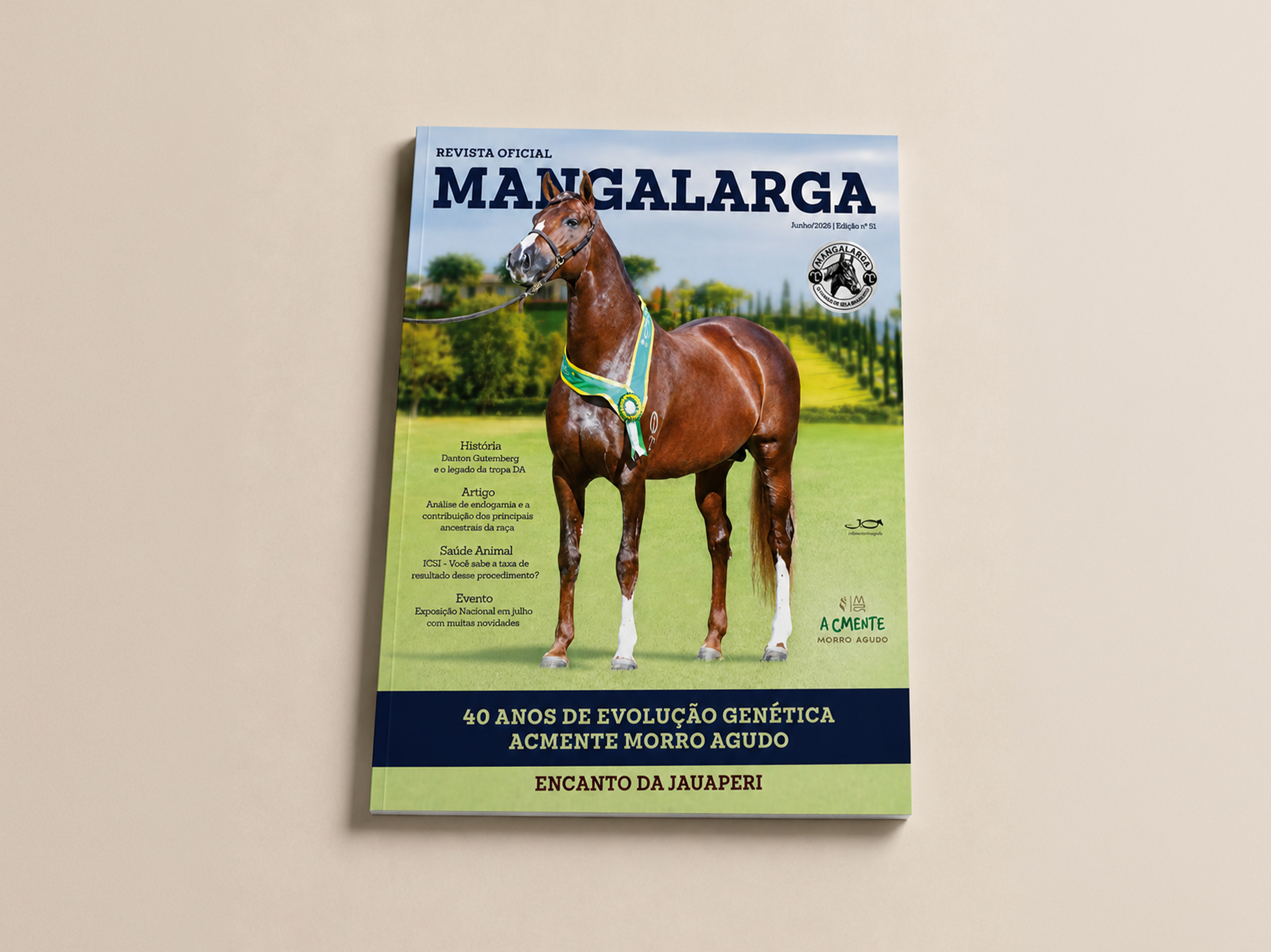 Primeiro lote do leilão Edição Pós Nacional (Ed. 52)